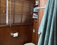 houseboat-yacht-boat-for-sale-with-a-shower