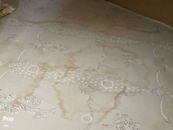Gallery Image #6