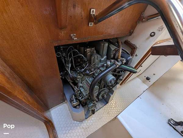Gallery Image #6