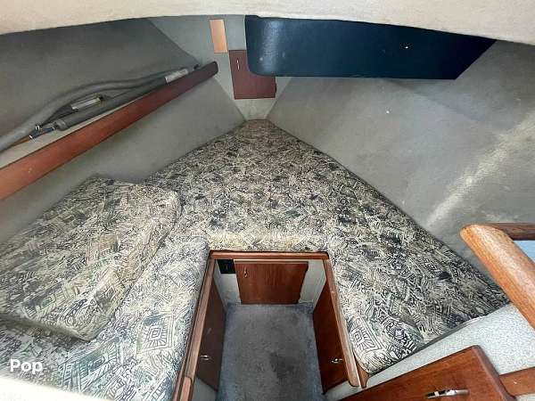 Gallery Image #6
