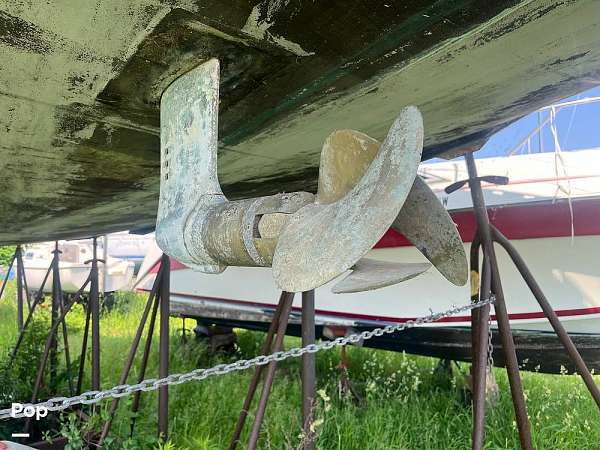 Gallery Image #9