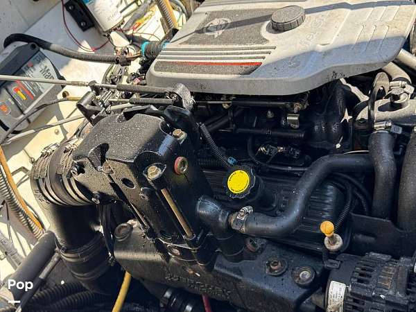 Gallery Image #12